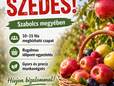 Gyümölcs szedés vállalok