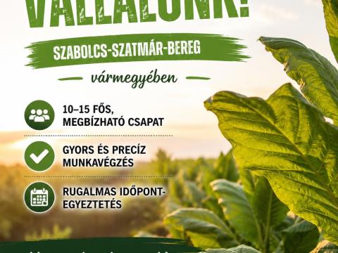 Dohány törést vállalok csapatomal