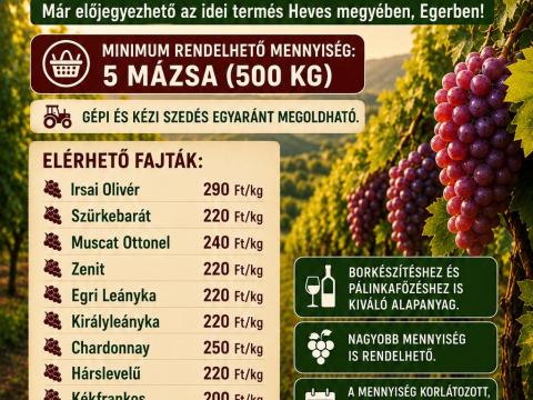 Előjegyezhető Szőlő Egerben Előjegyezhető Szőlő Egerben