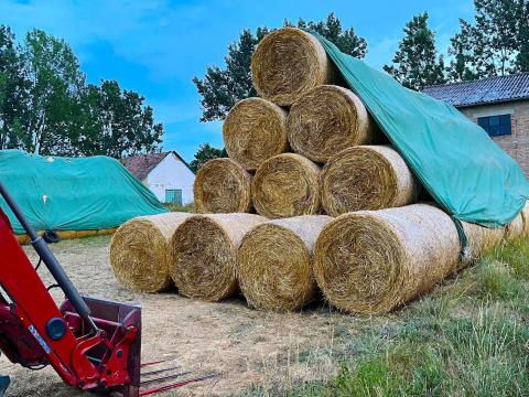 Prémium minőségű tritikálészalma körbálák eladók