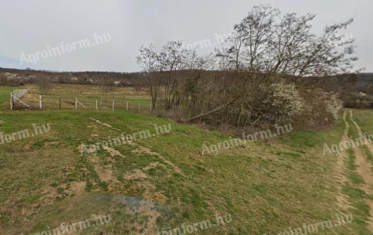 Mezőgazdasági telek eladó Törökbálint külterületén