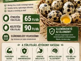 Fürjtojás