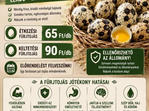 Fürjtojás
