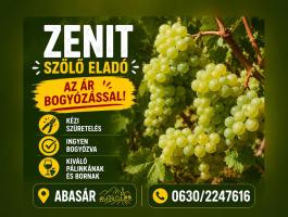 Zenit szőlő eladó – kézi szedés – családi gazdaságból – bogyózás az árban