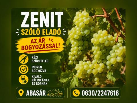 Zenit szőlő eladó – kézi szedés – családi gazdaságból – bogyózás az árban