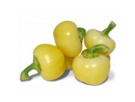 Friss almapaprika közvetlenül a termelőtől