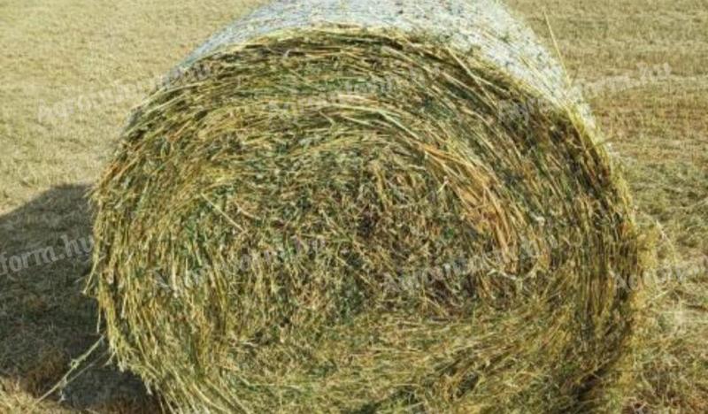 Minőségi 170-es lucernabála eladó – készletről