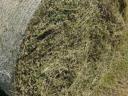 Minőségi 170-es lucernabála eladó – készletről