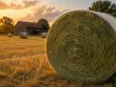 Minőségi 170-es lucernabála eladó – készletről