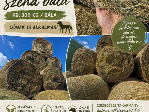 Eladó körbálás réti széna – lovaknak is alkalmas Eladó körbálás réti széna – lovaknak is alkalmas