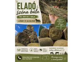 Eladó körbálás réti széna – lovaknak is alkalmas