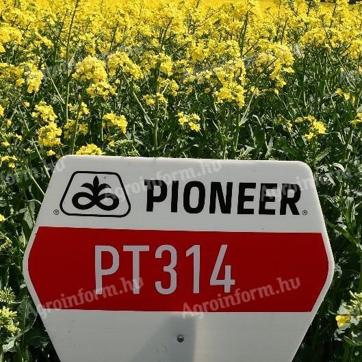 Pioneer PT314 (Lumigen™ Lumiposa rovarölős) repce vetőmag