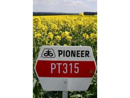 Pioneer PT315 (LUMIGEN™ rovar- és gombaölő nélkül) repce vetőmag