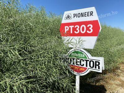 Pioneer PT303 (Lumigen™ Lumiposa rovarölős) repce vetőmag