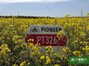 Pioneer PT326 (LUMIGEN™ Lumiposa rovarölős) repce vetőmag
