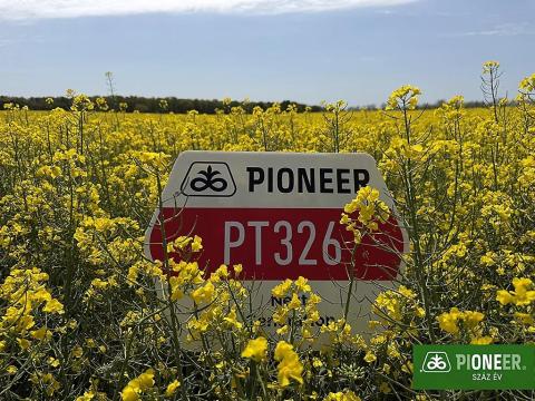 Pioneer PT326 (LUMIGEN™ Lumiposa rovarölős) repce vetőmag Pioneer PT326 (LUMIGEN™ Lumiposa rovarölős) repce vetőmag