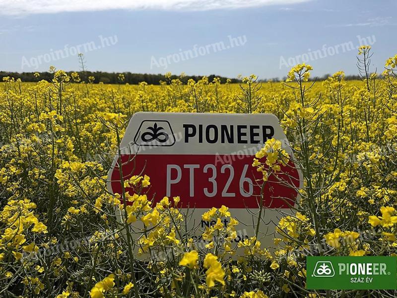 Pioneer PT326 (LUMIGEN™ Lumiposa rovarölős) repce vetőmag