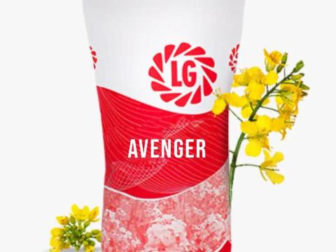 LG Avenger (Scenic Gold + Lumiposa) repce vetőmag