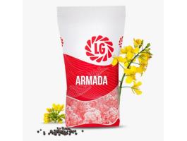 LG Armada (Scenic Gold + Lumiposa) repce vetőmag