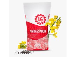 LG Ambassador PRÉMIUM (Scenic Gold + Lumiposa) repce vetőmag