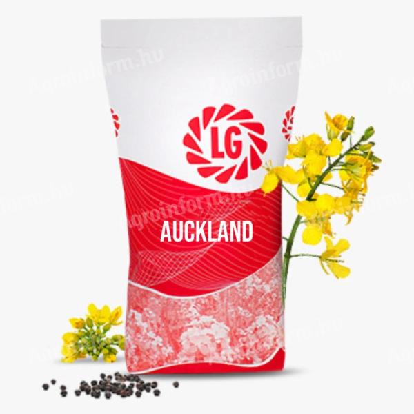 LG Auckland (Scenic Gold + Lumiposa) repce vetőmag