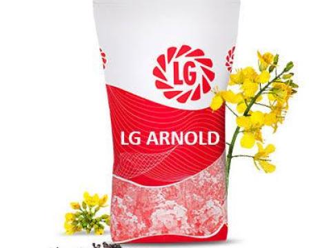 LG Arnold (Scenic Gold + Lumiposa) repce vetőmag LG Arnold (Scenic Gold + Lumiposa) repce vetőmag