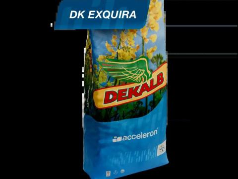 DK (DEKALB) Exquira (Acceleron Elite) repce vetőmag DK (DEKALB) Exquira (Acceleron Elite) repce vetőmag