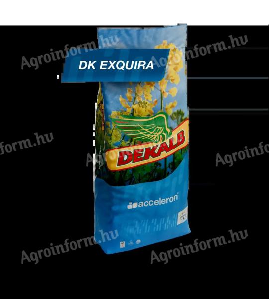 DK (DEKALB) Exquira (Acceleron Elite) repce vetőmag