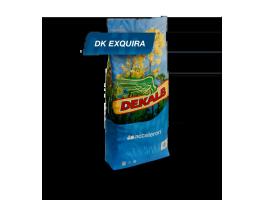 DK (DEKALB) Exquira (Acceleron Elite) repce vetőmag
