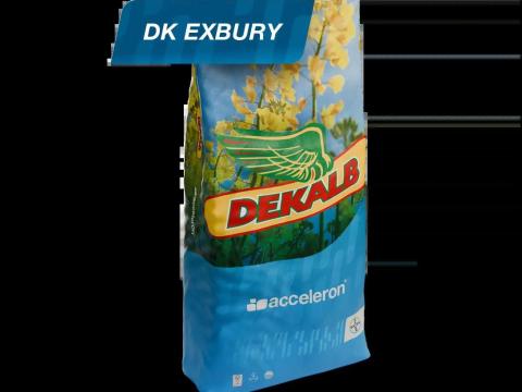 DK (DEKALB) Exbury (Acceleron Elite) repce vetőmag DK (DEKALB) Exbury (Acceleron Elite) repce vetőmag