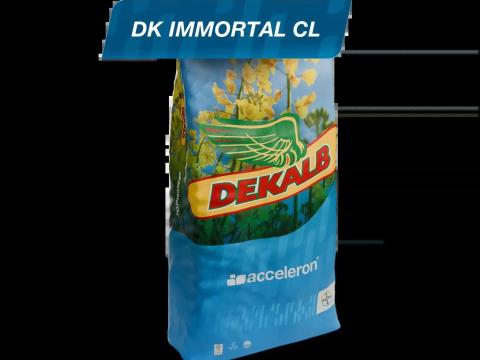 DK (DEKALB) Immortal CL (Acceleron Precision) repce vetőmag DK (DEKALB) Immortal CL (Acceleron Precision) repce vetőmag