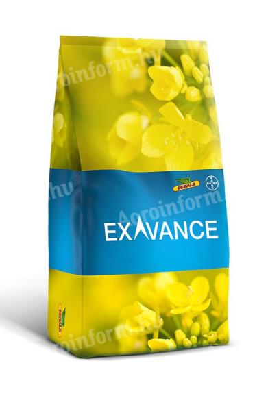 DK (DEKALB) Exavance (A335 Gold/772) repce vetőmag