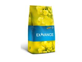 DK (DEKALB) Exavance (A335 Gold/772) repce vetőmag
