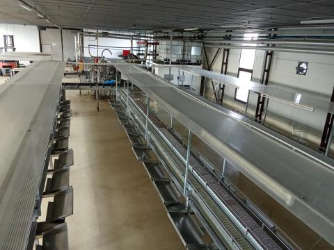 Élelmiszeripari (manufakturális termelésre szakosodott) gyártósor eladó Élelmiszeripari (manufakturális termelésre szakosodott) gyártósor eladó