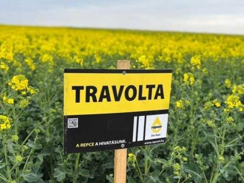 Rapool Travolta (Integral Pro® + Lumiposa® + biostimulátor) repce vetőmag Rapool Travolta (Integral Pro® + Lumiposa® + biostimulátor) repce vetőmag