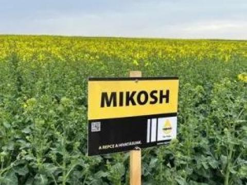 Rapool Mikosh (Integral Pro® + Lumiposa® + biostimulátor) repce vetőmag Rapool Mikosh (Integral Pro® + Lumiposa® + biostimulátor) repce vetőmag