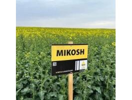 Rapool Mikosh (Integral Pro® + Lumiposa® + biostimulátor) repce vetőmag
