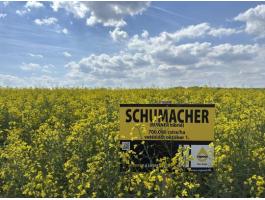 Rapool Schumacher Runner repce (Integral Pro® + Lumiposa® + biostimulátor) repce vetőmag