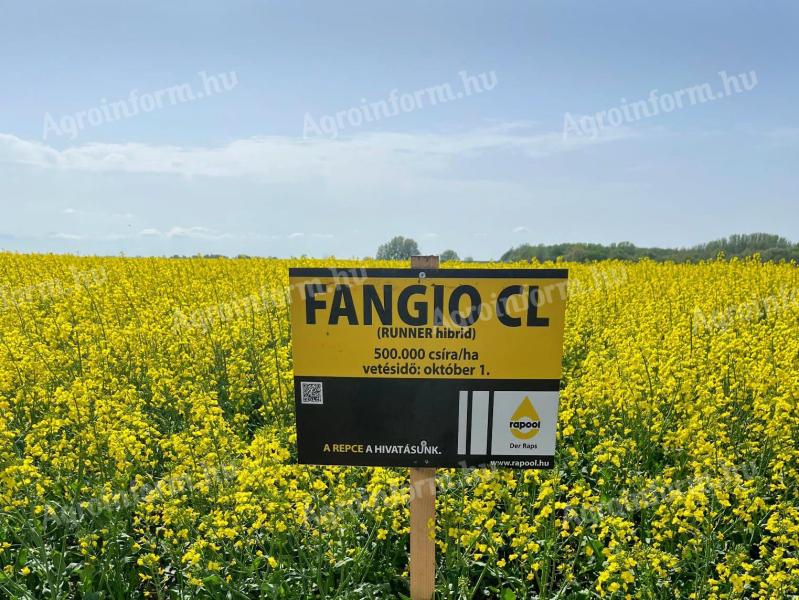 Rapool Fangio CL Runner repce (Integral Pro® + Lumiposa® + biostimulátor) repce vetőmag