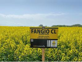 Rapool Fangio CL Runner repce (Integral Pro® + Lumiposa® + biostimulátor) repce vetőmag