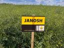 Rapool Janosh (Integral Pro® + Lumiposa® + biostimulátor) repce vetőmag