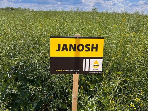 Rapool Janosh (Integral Pro® + Lumiposa® + biostimulátor) repce vetőmag Rapool Janosh (Integral Pro® + Lumiposa® + biostimulátor) repce vetőmag