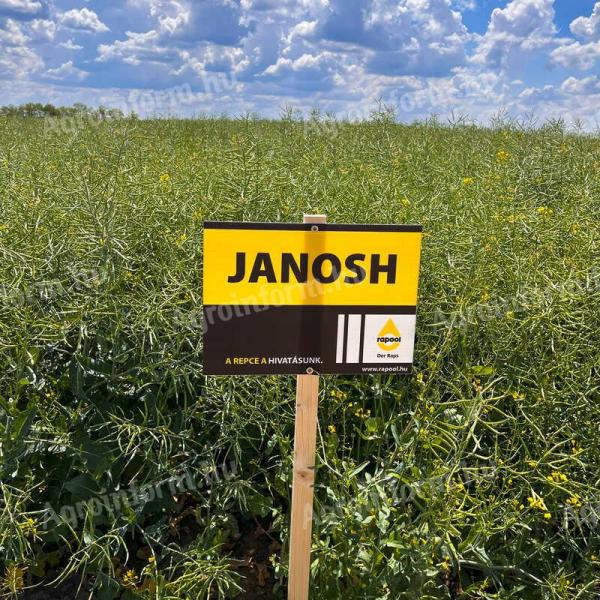 Rapool Janosh (Integral Pro® + Lumiposa® + biostimulátor) repce vetőmag