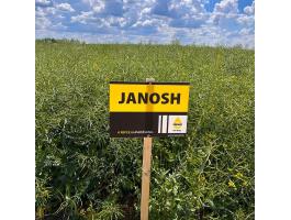 Rapool Janosh (Integral Pro® + Lumiposa® + biostimulátor) repce vetőmag