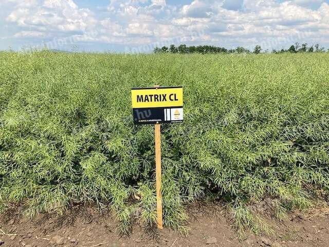 RAPOOL Matrix CL (Integral Pro® + Lumiposa® + biostimulátor) repce vetőmag