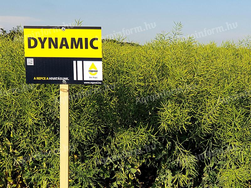 Rapool Dynamic (Integral Pro® + Lumiposa® + biostimulátor) repce vetőmag