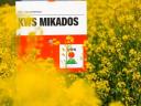 KWS Mikados (INITIO) repce vetőmag