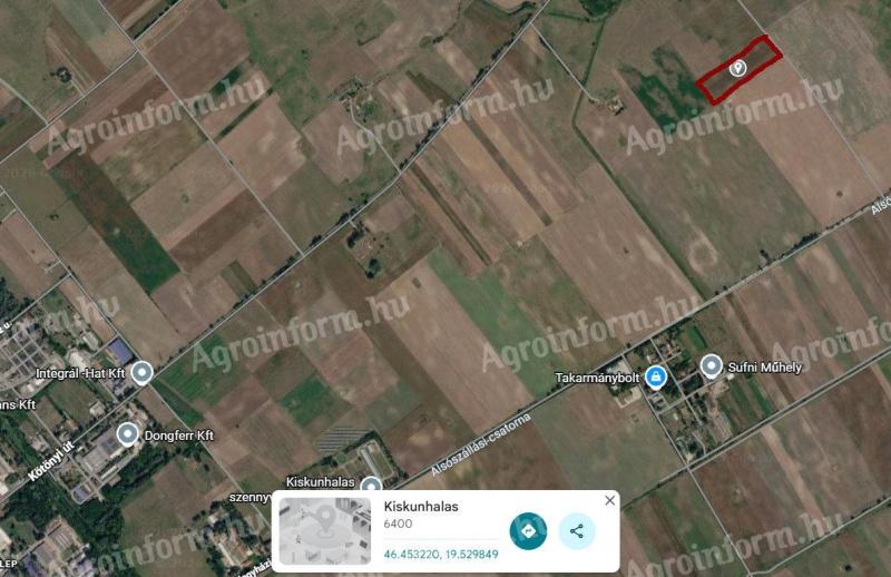 Kiskunhalason, a Kötönyi út közelében 2,2 ha szántó