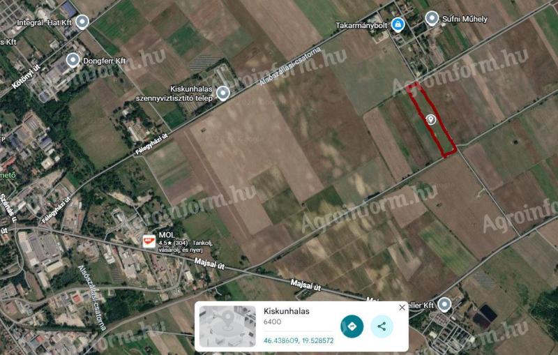 Kiskunhalason, a Majsai út közelében 2,7 ha szántó