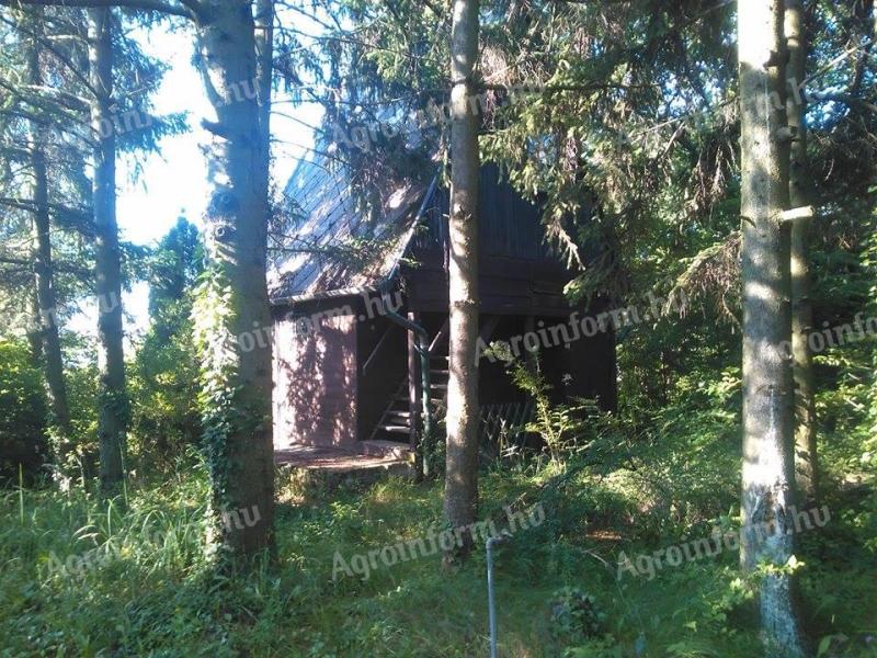 Kőszegen 3000, m2 kerített telek,  faházzal,  vízzel,  villannyal 25 Millióért eladó